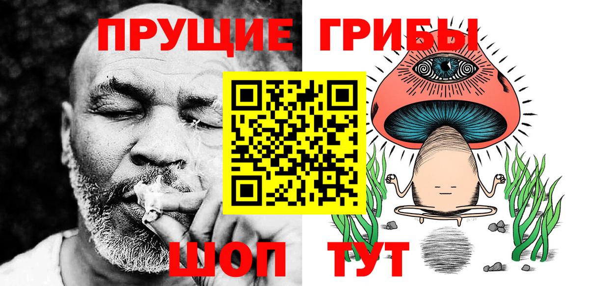 Галлюциногенные грибы Psilocybine cubensis Донской