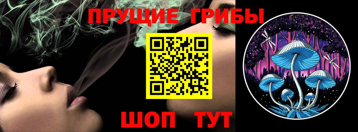 Галлюциногенные грибы MAGIC MUSHROOMS  Вход с VPN  Псилоцибиновые грибы мухоморы  Донской 